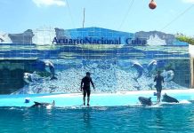 Aquarium National de Cuba