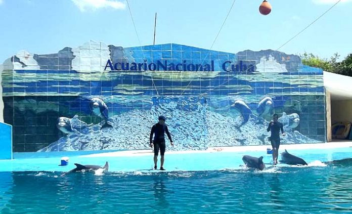 Aquarium National de Cuba